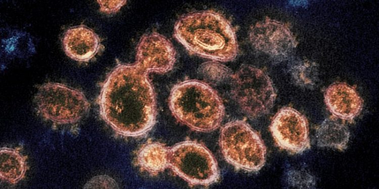 Virus variant from South Africa detected in US for 1st time