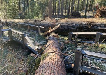 Yosemite National Park to remain closed after wind damage