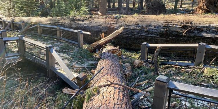 Yosemite National Park to remain closed after wind damage