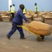 Zimbabwe’s tobacco booms, but Black growers complain of debt