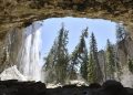 Overrun national forests prompt action from US Congress