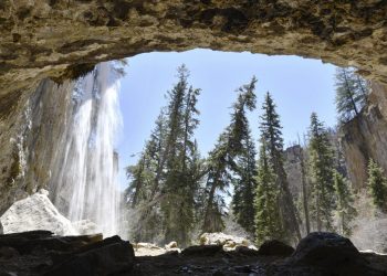 Overrun national forests prompt action from US Congress