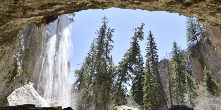 Overrun national forests prompt action from US Congress