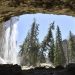 Overrun national forests prompt action from US Congress