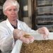 What pairs with beetle? Startups seek to make bugs tasty