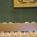 UN calls for global database of human gene editing research