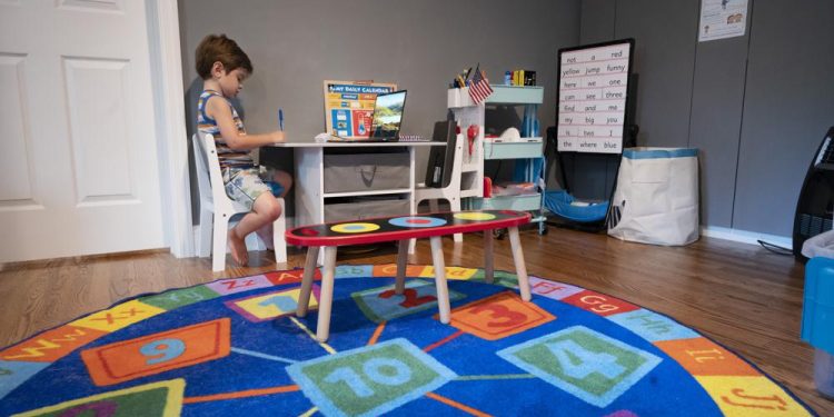 Pandemic spurs boom in virtual offerings for US schools