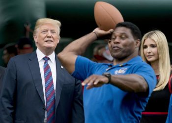 Trump-backed Herschel Walker seeks Georgia Senate seat