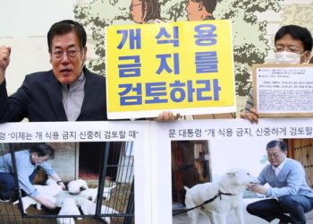 S. Korean leader’s review of ban on eating dog meat welcomed