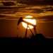 Oil at 7-year high after OPEC+ decides on cautious increase