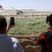 Chinese airliner crashes with 132 aboard in country’s south