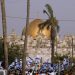 Israeli nationalists chant racist slogans in Jerusalem march