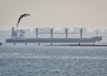 3 more ships with grain depart Ukraine ports under UN deal