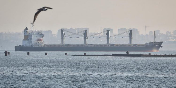 3 more ships with grain depart Ukraine ports under UN deal