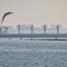 3 more ships with grain depart Ukraine ports under UN deal
