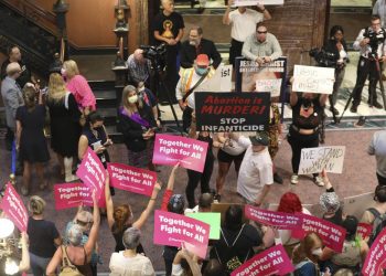 Abortion ban faces exceptions fight in South Carolina House