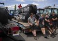 Dutch farm minister resigns after protests over pollution