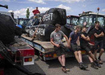 Dutch farm minister resigns after protests over pollution