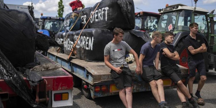 Dutch farm minister resigns after protests over pollution