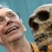 Nobel win for Swede who unlocked secrets of Neanderthal DNA