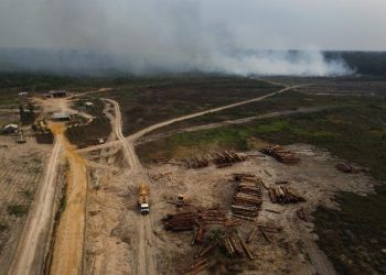 New Brazilian Congress not likely to address climate