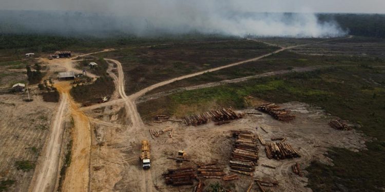 New Brazilian Congress not likely to address climate