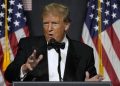 Musk restores Trump’s Twitter account after online poll