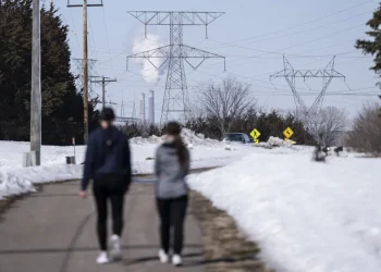 Minnesota nuclear plant shuts down for leak; residents worry