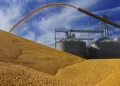 Canada joins US in trade dispute hearings against Mexico’s proposed ban on GM corn