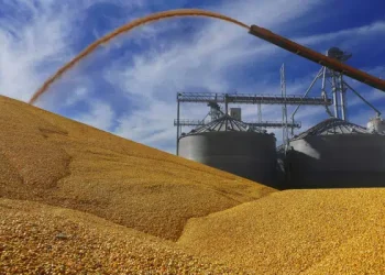 Canada joins US in trade dispute hearings against Mexico’s proposed ban on GM corn