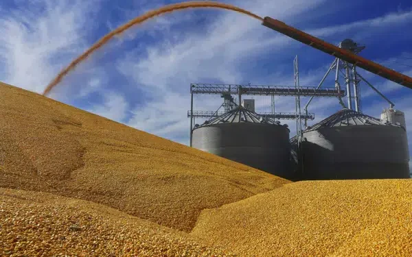 Canada joins US in trade dispute hearings against Mexico’s proposed ban on GM corn