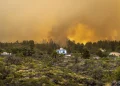 2,000 evacuated in La Palma wildfire in Spain’s Canary Islands; official says blaze ‘out of control’