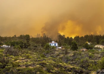 2,000 evacuated in La Palma wildfire in Spain’s Canary Islands; official says blaze ‘out of control’