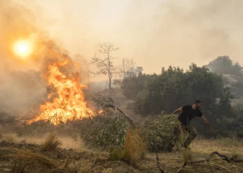 Greece’s government is planning tougher penalties for arson following a spate of wildfires