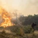 Greece’s government is planning tougher penalties for arson following a spate of wildfires