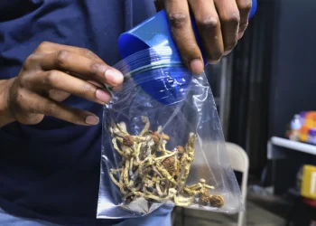 California Gov. Gavin Newsom vetoes bill that would have decriminalized psychedelic mushrooms