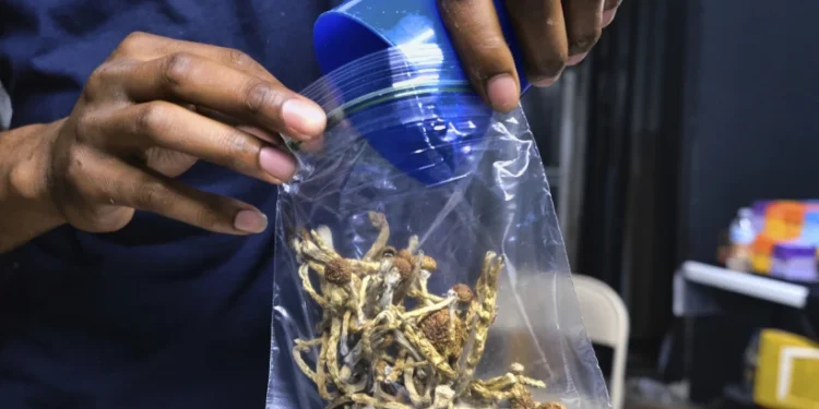 California Gov. Gavin Newsom vetoes bill that would have decriminalized psychedelic mushrooms